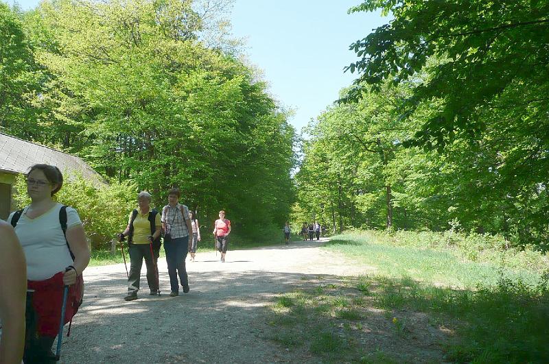 szate 088.jpg
